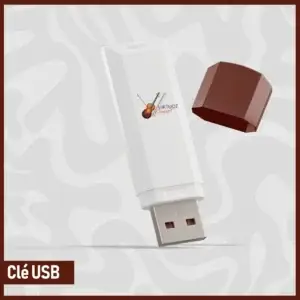 Clé USB Publicitaire à Personnaliser